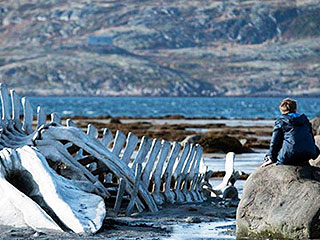 "Левиафан" выйдет в прокат в 2015 году "Левиафан" выйдет в прокат в 2015 году