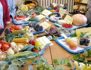 В Брянске откроется традиционная выставка овощей и фруктов scilib.debryansk.ru