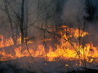 Шойгу объявил одночасовую готовность Шойгу объявил одночасовую готовность
