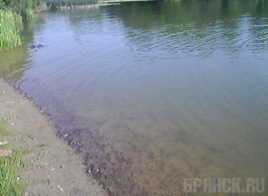 Суд обязал брянских чиновников благоустроить пляж