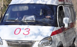 С начала года в Брянской области погибли 32 ребенка