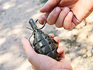 В главу Украинского дома бросили гранату В главу Украинского дома бросили гранату