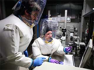 Смертельный вирус проник в Европу Смертельный вирус проник в Европу