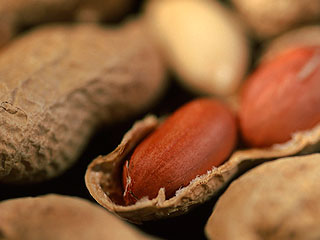 США подсчитали убытки от санкций России США подсчитали убытки от санкций России