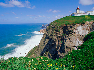 Туристы погибли во время совместного селфи Туристы погибли во время совместного селфи