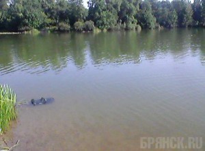 Из озера в Климовском районе выловили труп мужчины