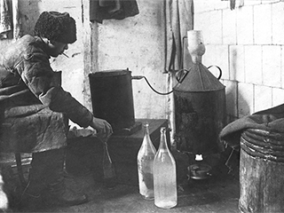 Россия отказалась от горилки Россия отказалась от горилки