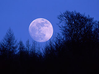 На Луну отправят сверхтяжелую ракету На Луну отправят сверхтяжелую ракету