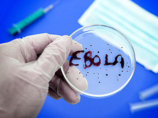 Раскрыта тайна вируса Эбола Раскрыта тайна вируса Эбола