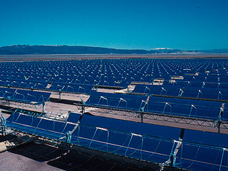 Электростанция в Калифорнии сжигает птиц Электростанция в Калифорнии сжигает птиц