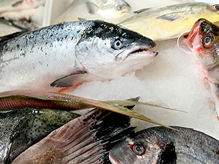 Санкционный список пополнился живой рыбой Санкционный список пополнился живой рыбой