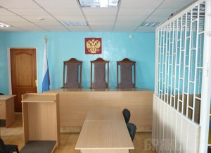 Комаричский педофил и живодер получил 12 лет колонии