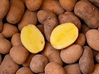 Испанцы устроили картофельный бунт Испанцы устроили картофельный бунт