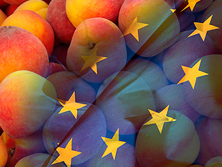 Испанцы жгут флаги ЕС на горе из персиков Испанцы жгут флаги ЕС на горе из персиков