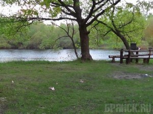 Ждет суда водитель, задавивший ребенка возле реки Ипуть