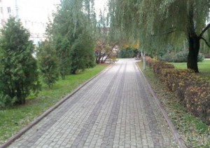 Сквер Проскурина в Брянске облюбовали автовладельцы