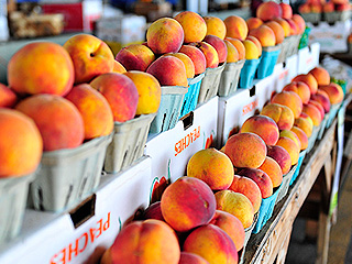 Компенсации разочаровали фермеров Греции Компенсации разочаровали фермеров Греции