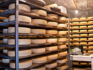 "Сыр Путина" обрушил цены в Финляндии "Сыр Путина" обрушил цены в Финляндии