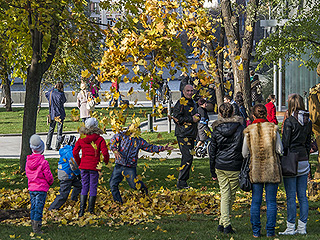 Деревья в Москве пересчитают Деревья в Москве пересчитают
