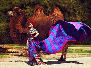 Магическое таинство Shoo Магическое таинство Shoo