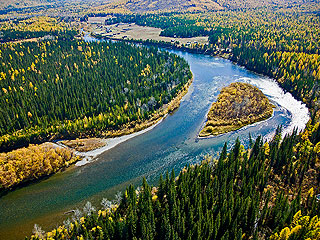 Пропавшую в тайге пенсионерку донимал гнус Пропавшую в тайге пенсионерку донимал гнус