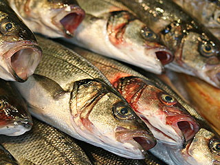 Тонна рыбы "выплыла" на сахалинскую дорогу Тонна рыбы "выплыла" на сахалинскую дорогу