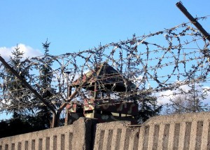 Почепскому Отелло суд назначил шесть лет «строгача»