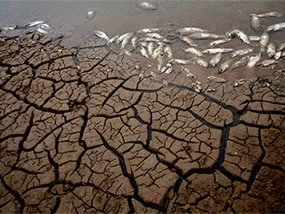 Ученые обещают "климатический ад" Ученые обещают "климатический ад"