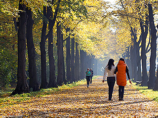 К столице подходит бабье лето К столице подходит бабье лето