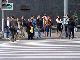 В Москве появятся новые зебры В Москве появятся новые зебры