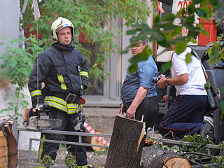 Семью в Химках убили и сожгли Семью в Химках убили и сожгли