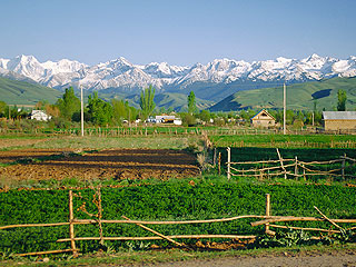 Киргизы изгнали имама-гея Киргизы изгнали имама-гея