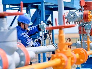 "Газпром нефть" зовет партнеров в Арктику "Газпром нефть" зовет партнеров в Арктику