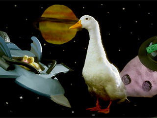 В "Утиных историях" сняли живых уток В "Утиных историях" сняли живых уток