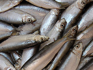 Мясо из Европы замаскировали под кильку Мясо из Европы замаскировали под кильку