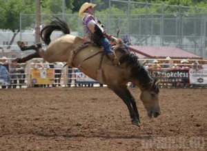 Брянцы познакомились с русским родео
