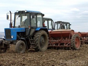 Сев озимых зерновых в Брянской области завершен на 62 процента