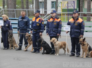 Спасатели-кинологи ЦФО съехались в Брянскую область