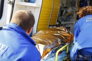 6 октября на брянских дорогах скончались два человека