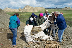 Кровожадного динозавра нашли в Венесуэле Кровожадного динозавра нашли в Венесуэле