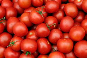 Россию спасли от зараженных помидоров Россию спасли от зараженных помидоров