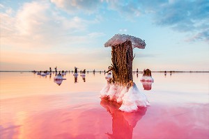 В Крыму возрождают добычу розовой соли В Крыму возрождают добычу розовой соли