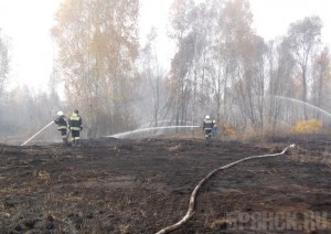 Брянские чиновники узнали о горящих лесах последними