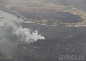 Воздух в Брянске становится опаснее