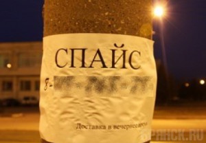 В Брянске будет усилена борьба со «спайсами»