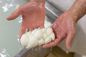 Монахи на Валааме будут делать моцареллу Монахи на Валааме будут делать моцареллу