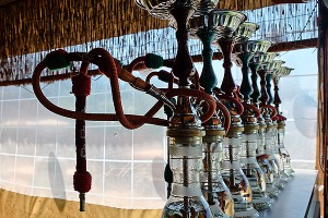 Курение кальяна в кафе грозит туберкулезом Курение кальяна в кафе грозит туберкулезом