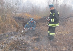 МЧС: Пожары под Гордеевкой не повлияли на уровень радиации
