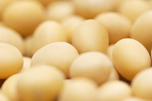 Крым защитили от американских яиц Крым защитили от американских яиц