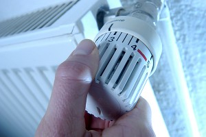 Украину охватила паника в преддверии зимы Украину охватила паника в преддверии зимы